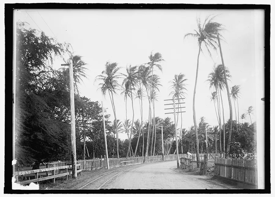 Historic photograph of the road to Waikiki, Honolulu, showing early 20th-century landscape and access routes.
